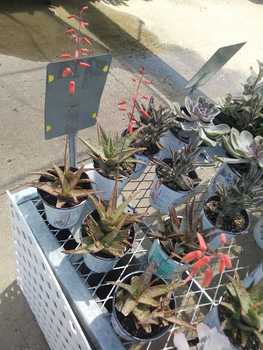 Home Improvement Store «The Home Depot», reviews and photos, 800 Truse Rd, Memphis, TN 38117, USA