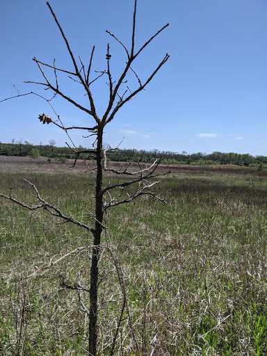 Nature Preserve «Subat Forest Preserve», reviews and photos, 4675-4999 Eldamain Rd, Plano, IL 60545, USA