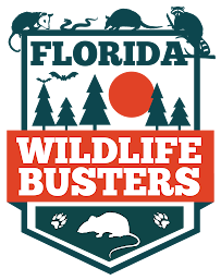 Florida Wildlife Busters, LLC - Photo 6 - Car repair in Lake Mary, FL, Deltona