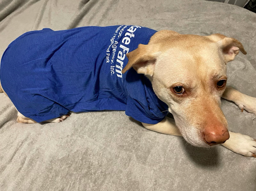 Auto Insurance Agency «Chad Babcock - State Farm Insurance Agent», reviews and photos