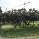 Photo n°1 de l'avis de Gerold.e fait le 19/10/2021 à 09:27 sur le  Agri-Campeggio EL-Bacan à Sona