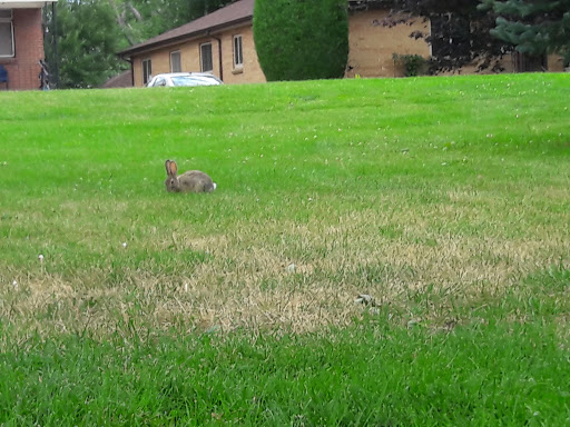 Golf Course «Harvard Gulch Golf Course», reviews and photos, 660 E Iliff Ave, Denver, CO 80210, USA