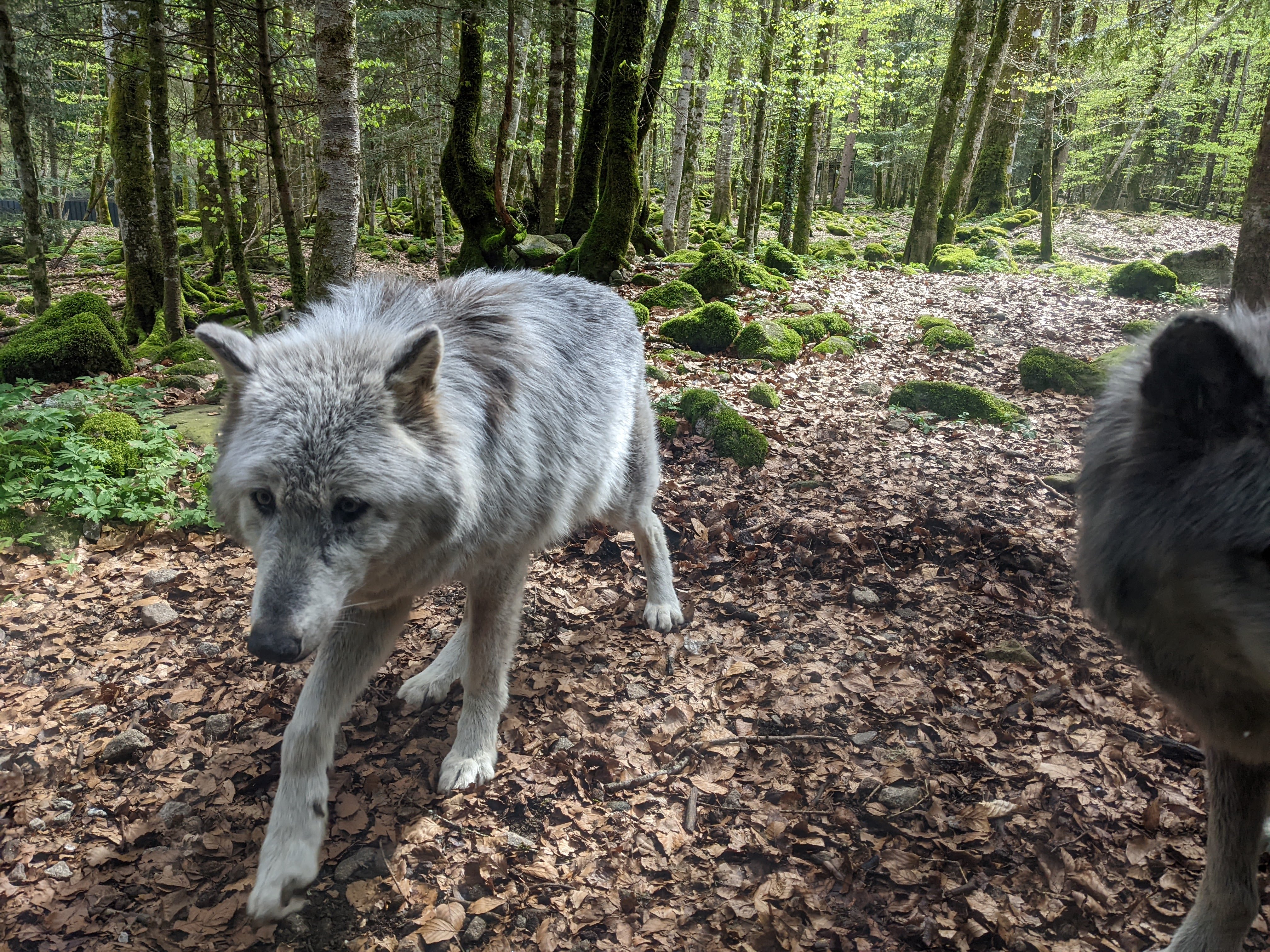 Photo n° 5 de l'avis de sara.e fait le 28/04/2022 à 08:59