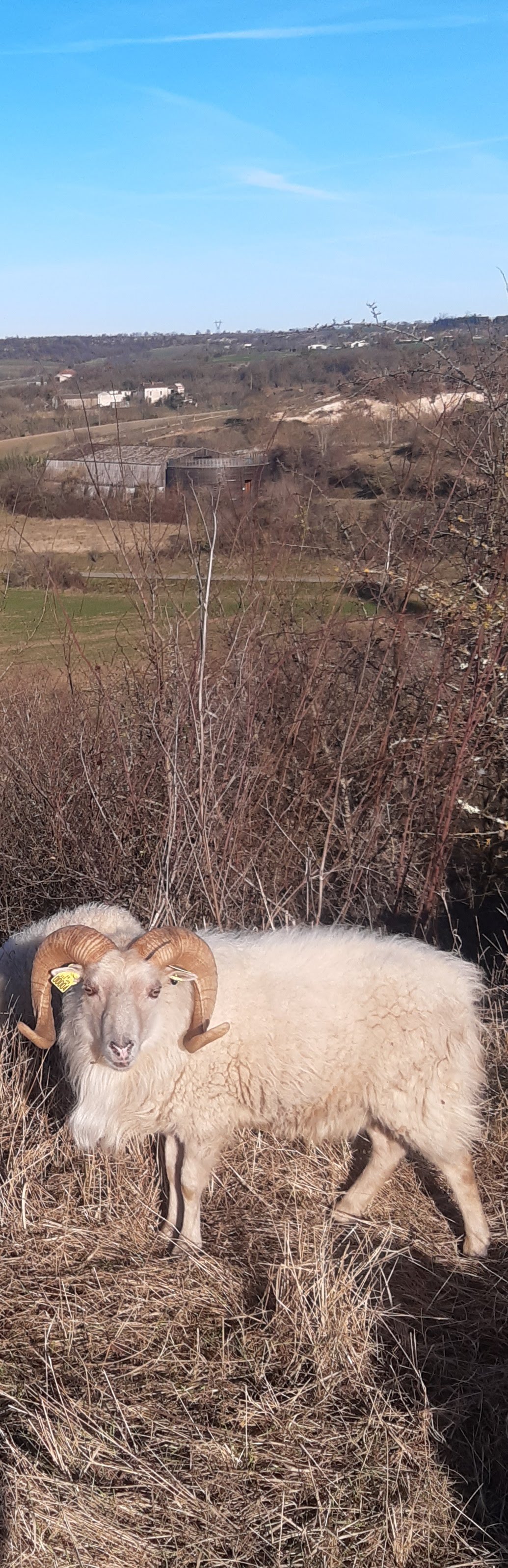 Photo n° 4 de l'avis de thierry.e fait le 19/01/2022 à 16:17