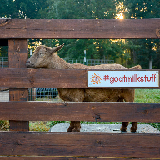 Farm «Goat Milk Stuff», reviews and photos, 76 S Lake Rd N, Scottsburg, IN 47170, USA
