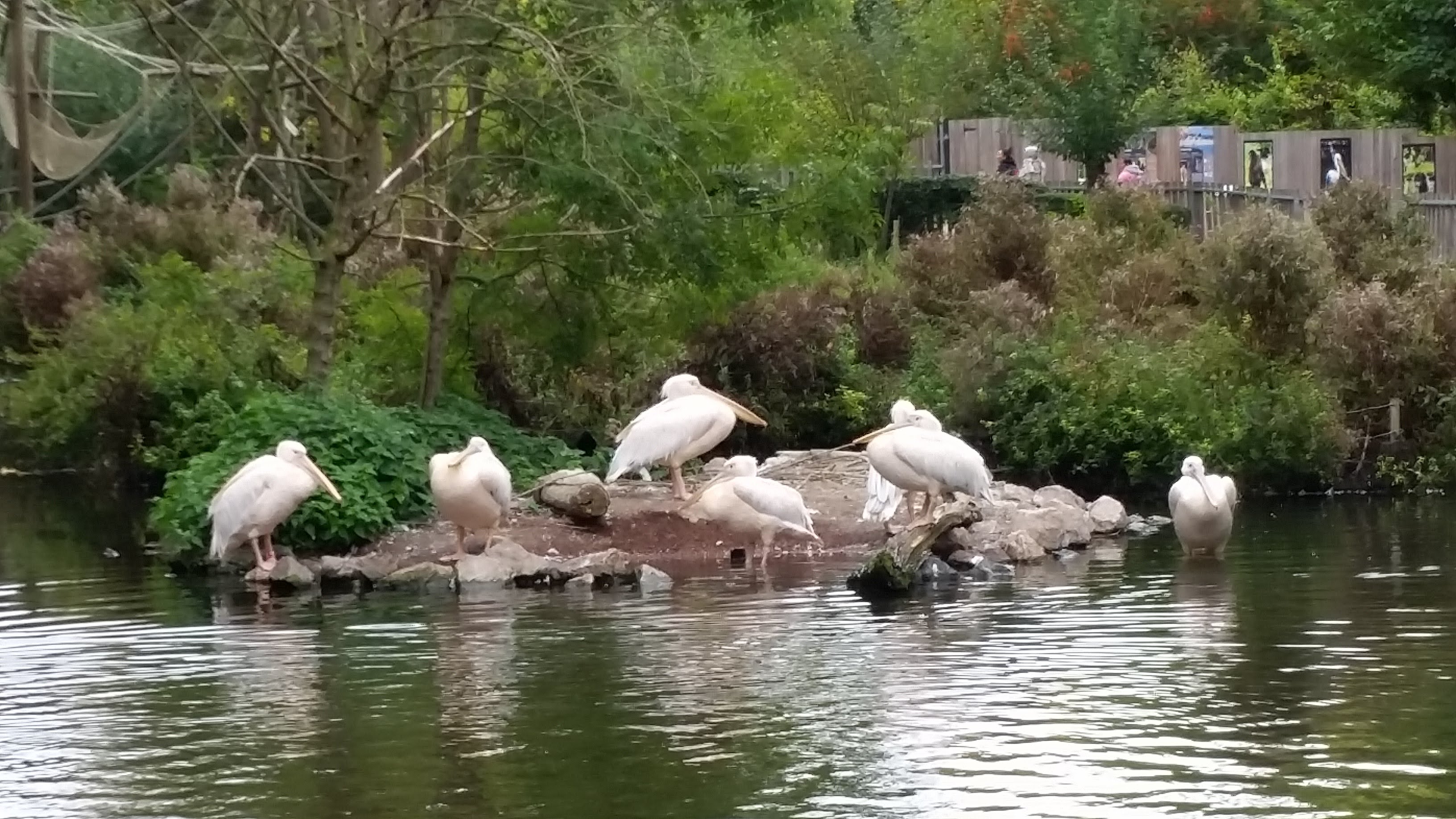 Photo n° 5 de l'avis de Adeline. fait le 08/10/2017 à 15:43