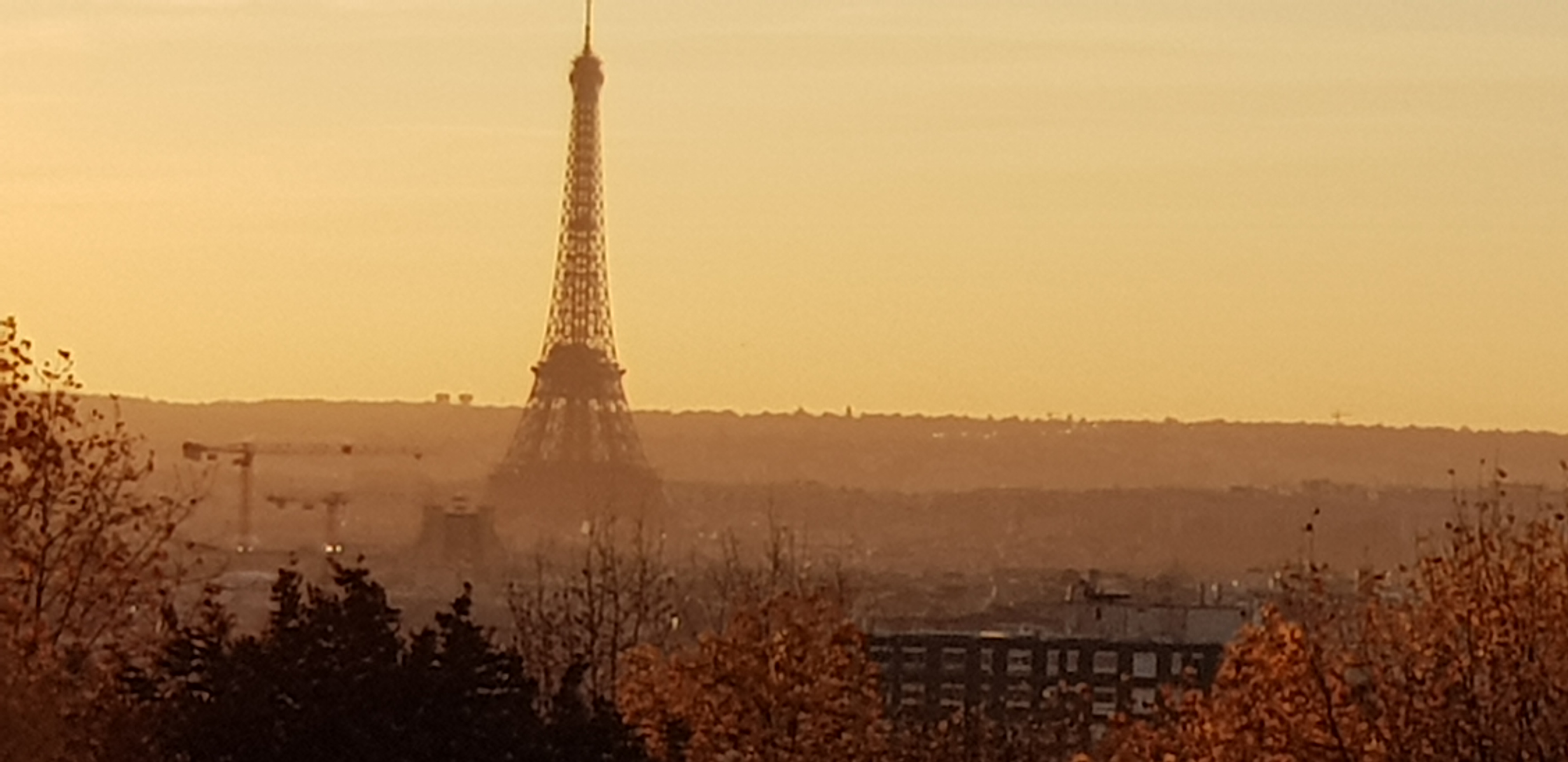 Photo n° 8 de l'avis de Nad.e fait le 14/11/2018 à 21:41