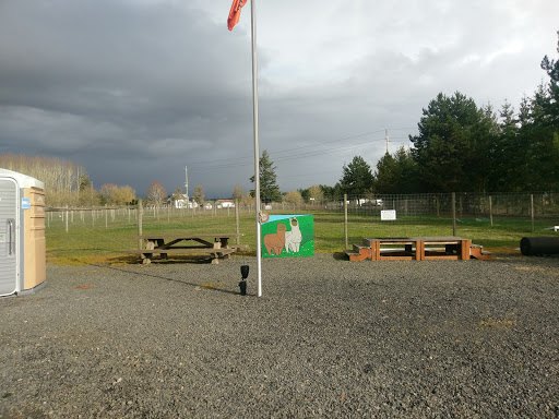 Livestock Breeder «Alpacas at Marquam Hill Ranch», reviews and photos, 35835 OR-213, Molalla, OR 97038, USA