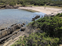 Cala Lupo'in fotoğrafı - Çocuklu aile gezginleri için önerilir