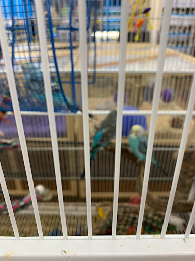 Pet Supply Store «Pet Supermarket», reviews and photos, 1125 Royal Palm Beach Blvd, Royal Palm Beach, FL 33411, USA