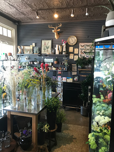 Florist «The Corner Market», reviews and photos, 3426 Greenville Ave, Dallas, TX 75206, USA
