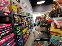 All About Paws - Photo 7 - Car repair in North Las Vegas, NV, Las Vegas