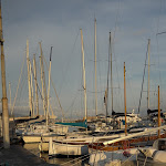 Photo n°1 de l'avis de Mohammed.a fait le 14/09/2023 à 23:30 sur le  La Bersagliera 1919 - Ristorante di pesce e cucina tipica à Naples