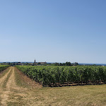Photo n° 6 de l'avis de JJGA. fait le 14/07/2022 à 16:24 pour Château Troplong Mondot à Saint-Laurent-des-Combes
