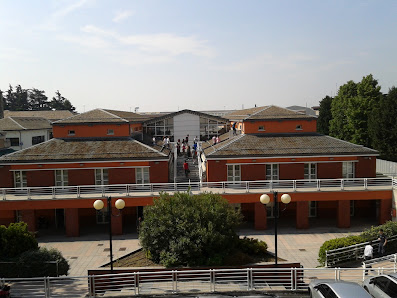 Scuola di Ingegneria - Università degli studi di Bergamo ed. B Viale G. Marconi, 5, 24044 Dalmine BG, Italia
