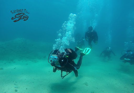 Lugares para bucear en Gran Canaria