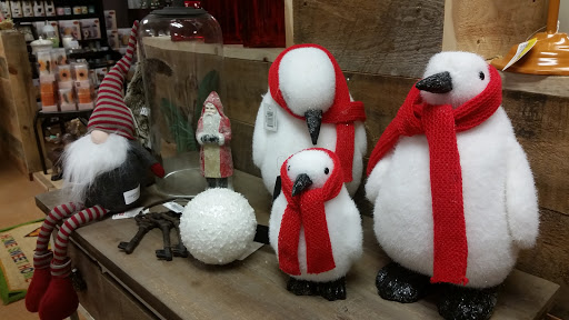 Hardware Store «Ace Hardware of University Hills», reviews and photos, 2500 S Colorado Blvd, Denver, CO 80222, USA