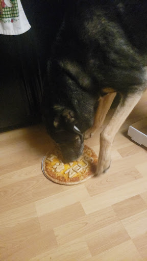 Pet Supply Store «Ma & Paws Bakery», reviews and photos, 1227 E 3300 S, Millcreek, UT 84106, USA