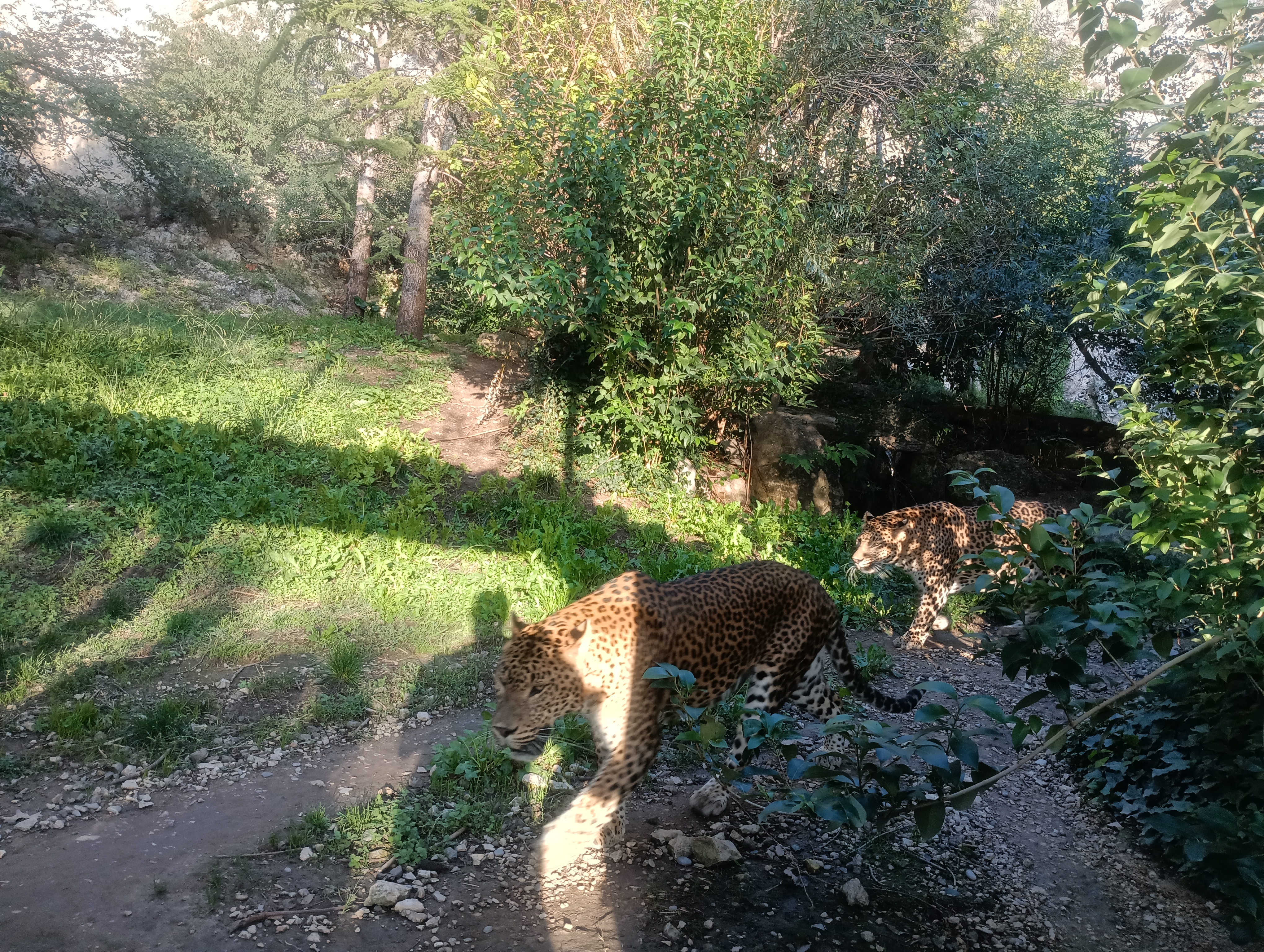 Photo n° 1 de l'avis de Gabriel.b fait le 14/10/2023 à 11:49