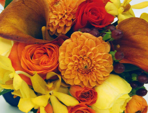 Florist «Romance In Blooms Ltd», reviews and photos, 6729 N Northwest Hwy, Chicago, IL 60631, USA