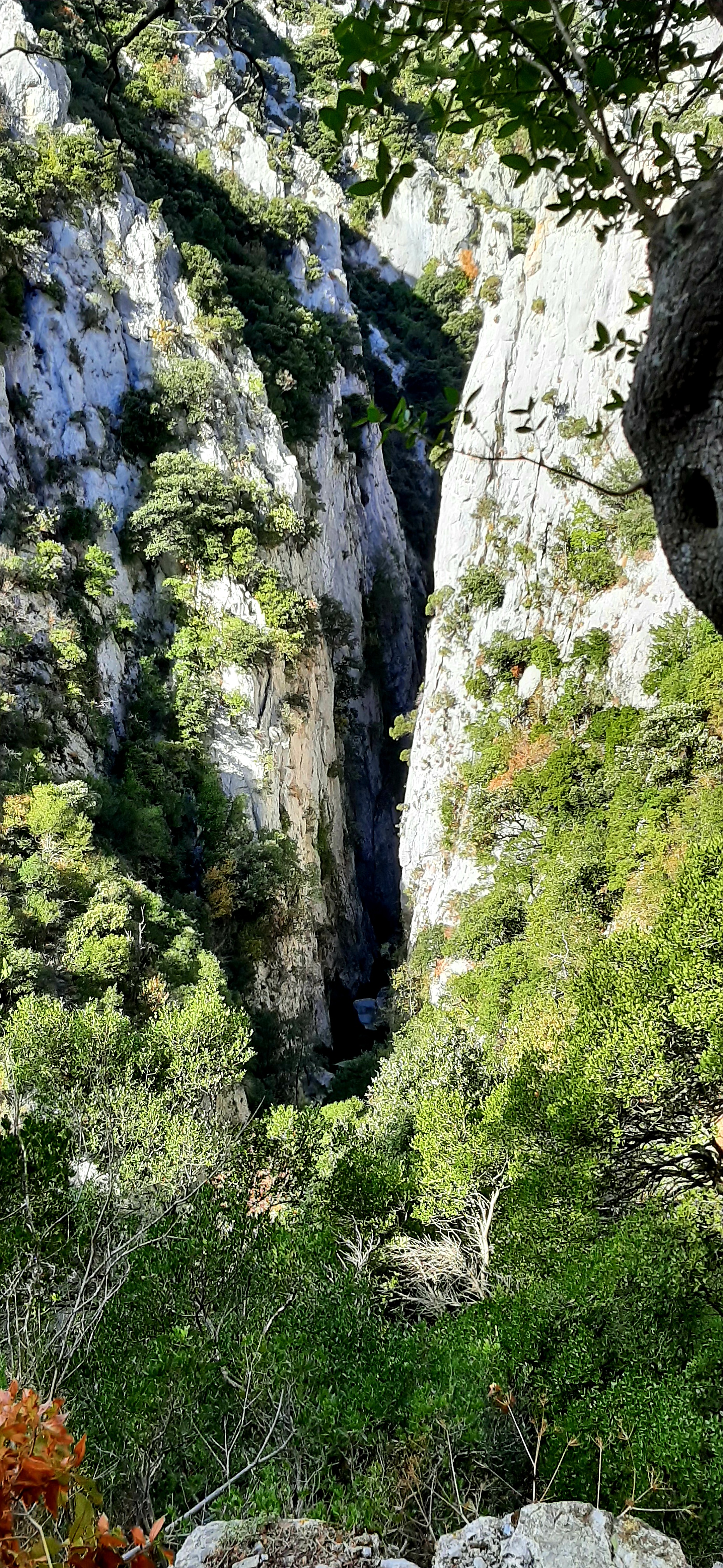 Photo n° 7 de l'avis de Sabine.i fait le 17/11/2022 à 19:51