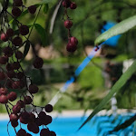 Photo n°2 de l'avis de Carmine.a fait le 14/08/2020 à 21:48 sur le  Agriturismo Terra Di Pace - Ristorante Café de la Paix à Noto