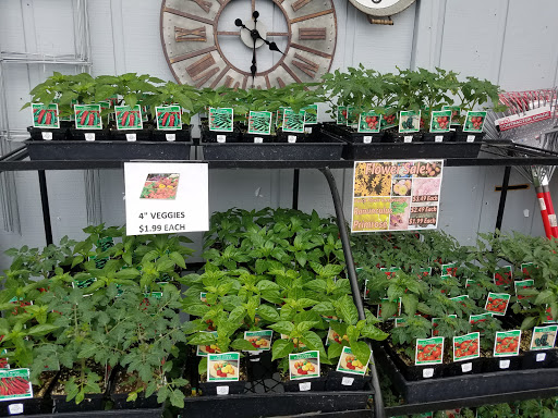 Hardware Store «Hollywood Hardware», reviews and photos, 5303 Freeport Blvd, Sacramento, CA 95822, USA