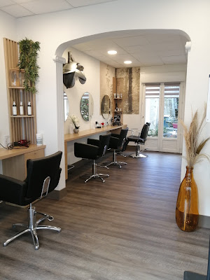 D S de L'hair / Coloration Végétale à Hennebont