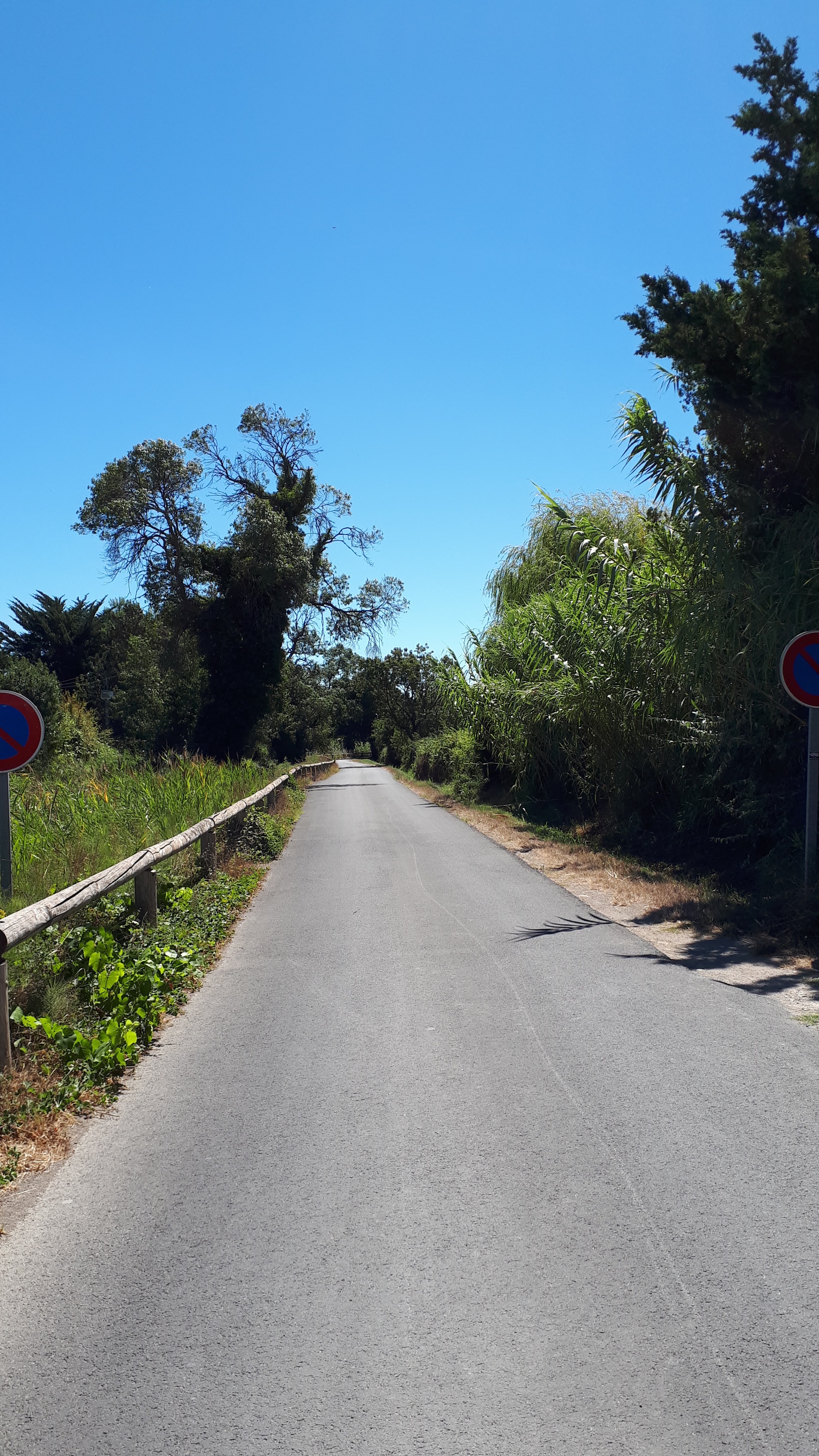 Photo n° 24 de l'avis de Bernard.e fait le 25/08/2020 à 17:03