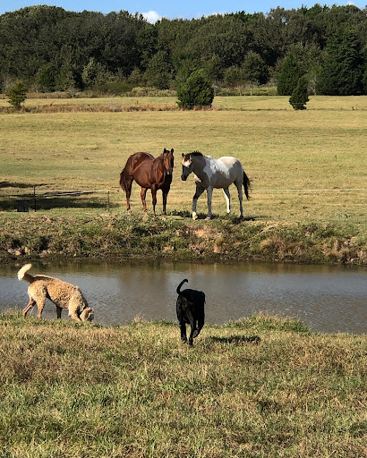 Winery «Tara Vineyard and Winery», reviews and photos, 8603 Co Rd 3914, Athens, TX 75752, USA