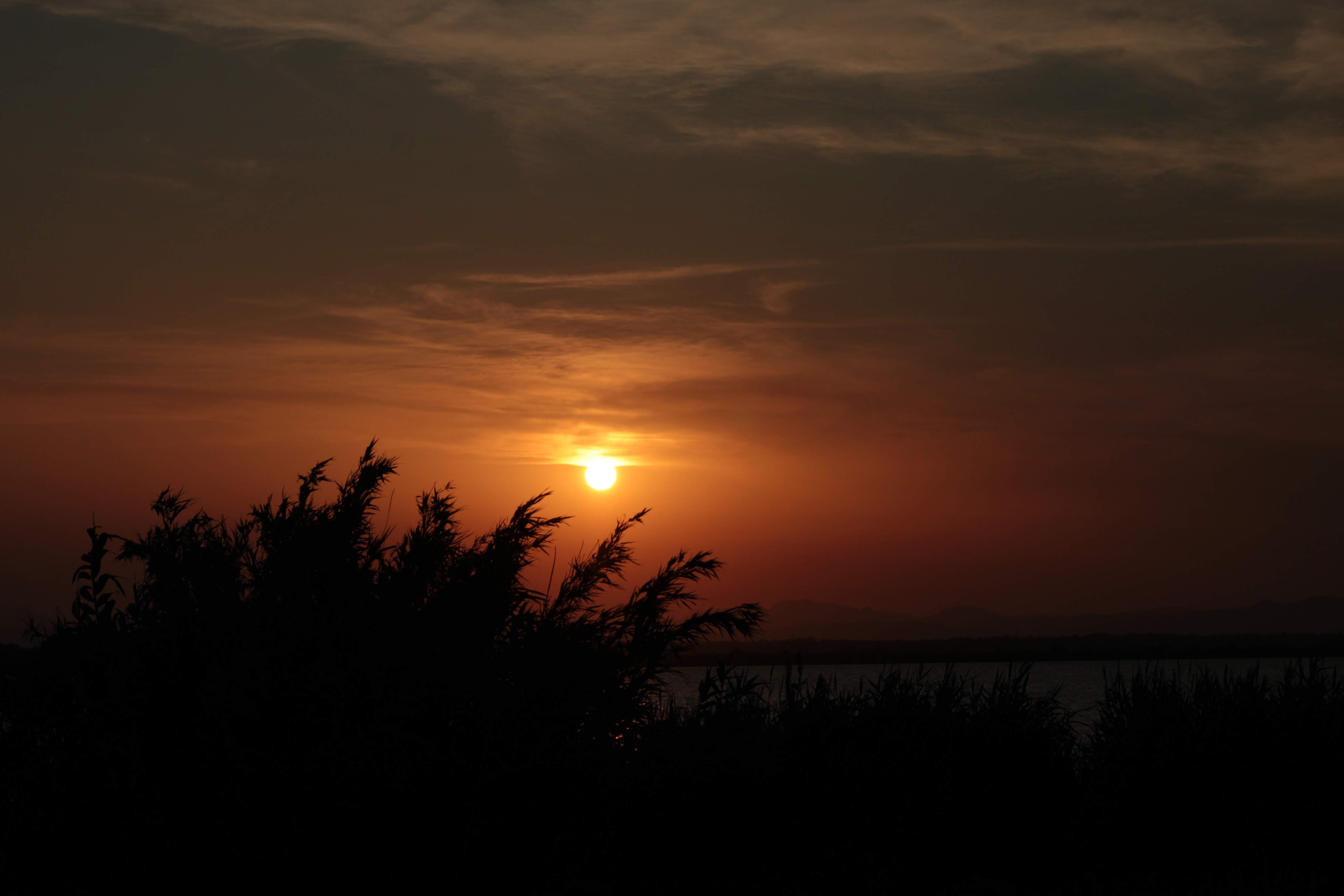 Photo n° 1 de l'avis de Chloé.e fait le 24/07/2019 à 22:26