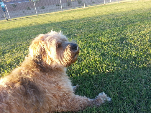 Park «Trailside Point Park», reviews and photos, 7215 W Vineyard Rd, Laveen Village, AZ 85339, USA