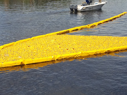 Park «Curtis Hixon Waterfront Park», reviews and photos, 600 N Ashley Dr, Tampa, FL 33602, USA