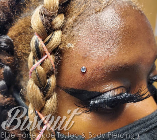 Body Piercing Shop «Blue Horse Shoe Tattoo and Piercing», reviews and photos, 3513 Virginia Beach Blvd, Virginia Beach, VA 23452, USA