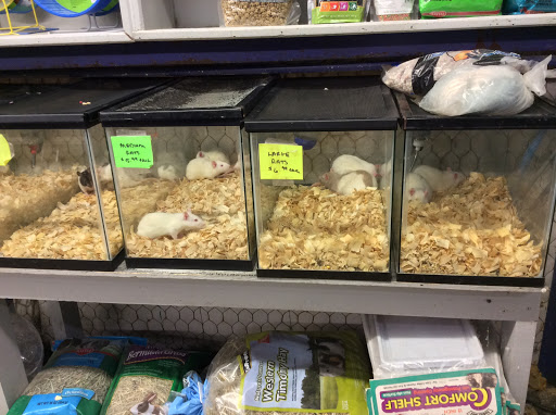 Pet Store «Oasis Tropicals», reviews and photos, 507 Commerce St, Pleasanton, TX 78064, USA