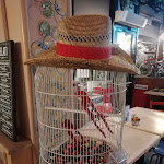 Photo n°9 de l'avis de Federica.. fait le 21/01/2024 à 09:50 sur le  Garage Pub à Lecco