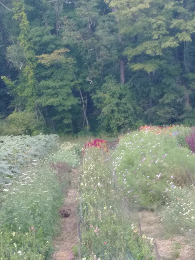 Farm «Langwater Farm», reviews and photos, 209 Washington St, North Easton, MA 02356, USA