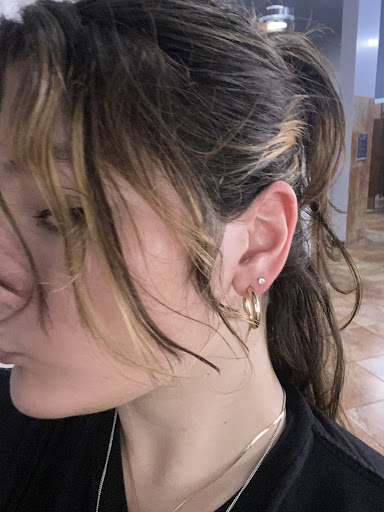 Explore cardinal tattoo ideas, creative tattoo ideas in Magnolia, available at Lucky Sparrow Tattoo Shop and Piercing