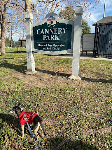 Park «Cannery Park», reviews and photos, 125 B St, Hayward, CA 94541, USA