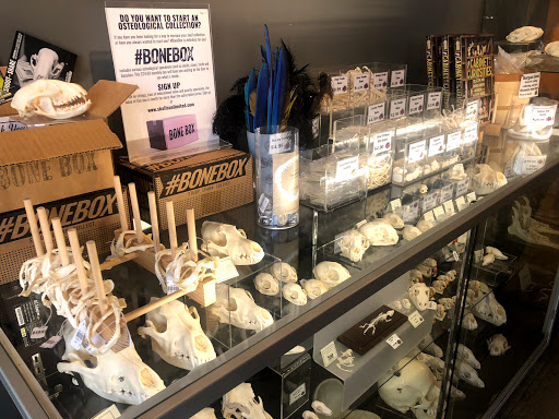 Museum «SKELETONS: Museum Of Osteology», reviews and photos, 8441 International Dr Suite 250, Orlando, FL 32819, USA