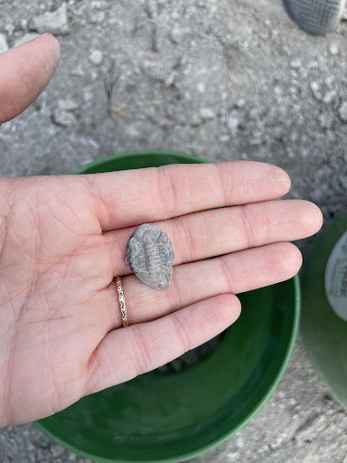 Nature Preserve «Penn Dixie Fossil Park & Nature Reserve», reviews and photos, 4050 North St, Blasdell, NY 14219, USA