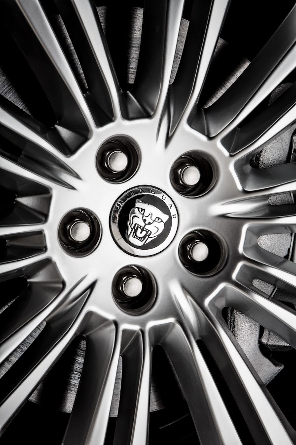 Imagen de Taller Land Rover y Jaguar Land Motors (9 de 16)