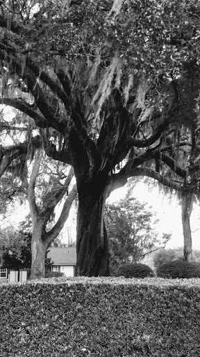 Cemetery «Jacksonville Memory Gardens Cemetery and Funeral Home», reviews and photos, 111 Blanding Blvd, Orange Park, FL 32073, USA