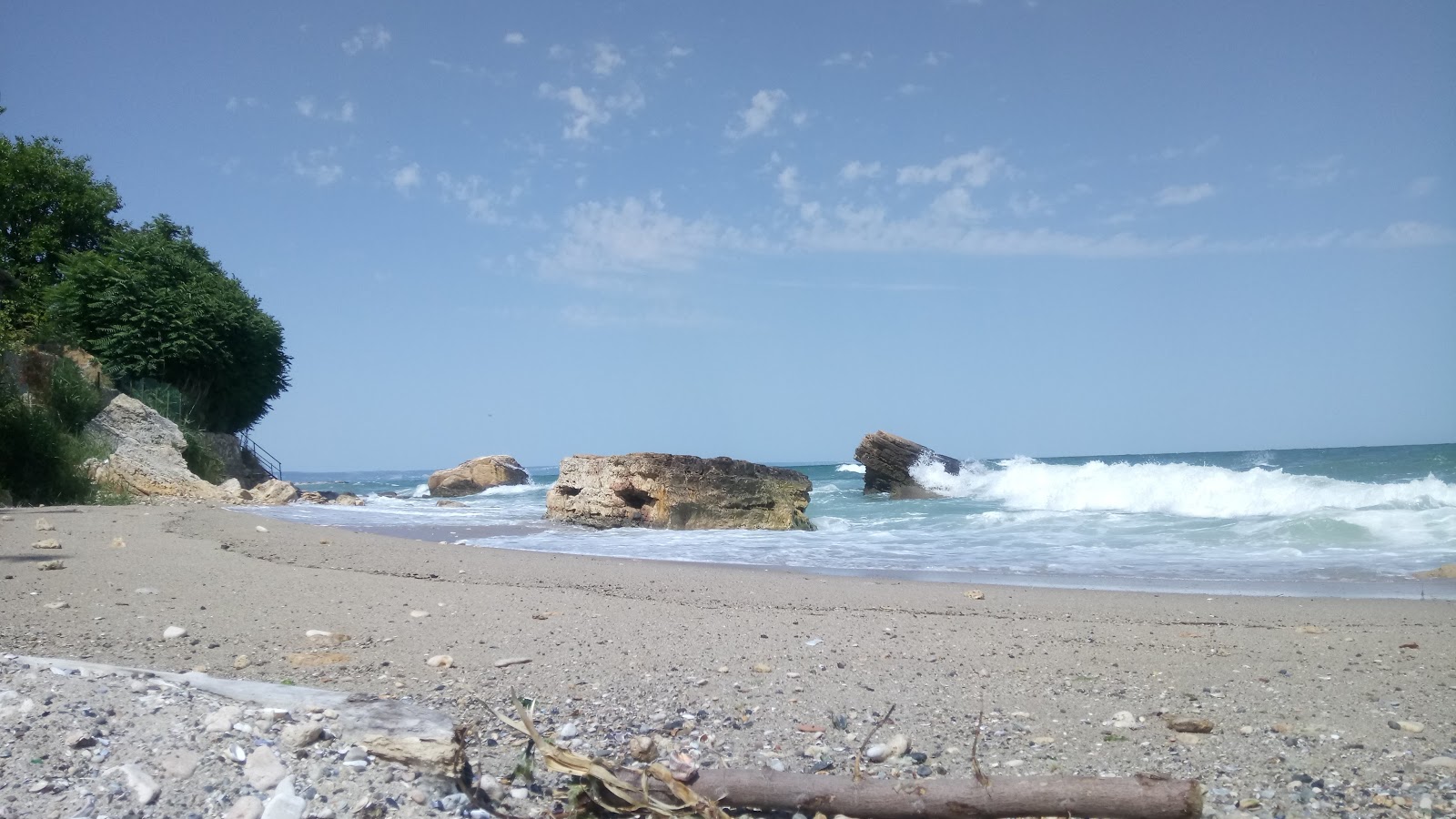Trifon Zarezan photo #8
