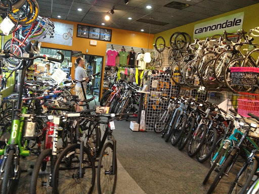 Sporting Goods Store «Evolve Bicycles», reviews and photos, 13 Blake Blvd, Celebration, FL 34747, USA