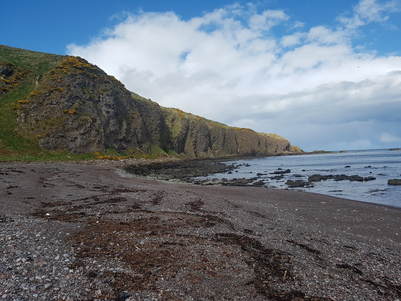 Foto van Strathlethan Bay Beach gelegen in een natuurlijk gebied