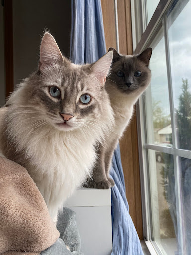 100 Leverington Ave #1, Philadelphia, PA 19127, USA