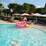 Photo n°2 de l'avis de Annalisa.q fait le 13/07/2021 à 13:00 sur le  Il Podere del Germano Reale à Coriano