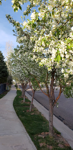 Golf Course «Walking Stick Golf Course», reviews and photos, 4301 Walking Stick Blvd, Pueblo, CO 81001, USA