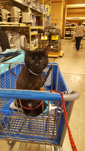 Pet Supply Store «PetSmart», reviews and photos, 291 Skokie Blvd, Northbrook, IL 60062, USA